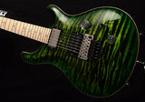 Paul Reed Smith Wood Library Custom 24 Floyd Brian's Limited Jade Green Burst-Brian's Guitars