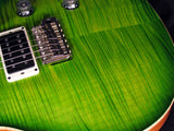 Paul Reed Smith Tremonti Eriza Verde-Brian's Guitars