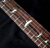 Paul Reed Smith Private Stock Hollowbody II Aqua Violet Glow #1-Brian's Guitars