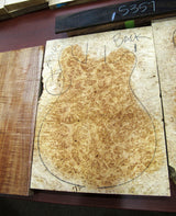 Paul Reed Smith Private Stock McCarty Northern Lights-Brian's Guitars