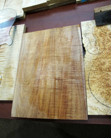 Paul Reed Smith Private Stock McCarty Northern Lights-Brian's Guitars