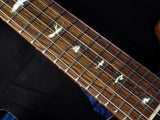 Paul Reed Smith Private Stock Custom 24 Signature Piezo Tremolo Aqua Violet Glow #2-Brian's Guitars