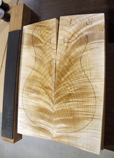 Paul Reed Smith Wood Library Custom 24 Satin Black Hardware Brian's Limited-Brian's Guitars