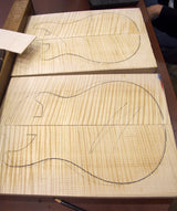 Used Paul Reed Smith Private Stock 594 Hollowbody II Rainforest Glow Smoked Burst-Brian's Guitars