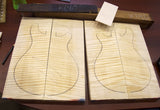 Paul Reed Smith Private Stock 594 Hollowbody II Rainforest Glow Smoked Burst-Brian's Guitars
