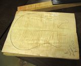 Paul Reed Smith Wood Library Custom 24 FatBack Swamp Ash Brian's Limited-Brian's Guitars