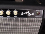 Used Allen Amplification Sweet Spot 1x10"-Brian's Guitars