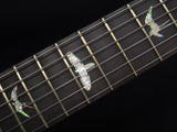 Paul Reed Smith Wood Library DGT Brian's Guitars Limited-Brian's Guitars