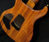 Used Paul Reed Smith Wood Library DGT Brian's Guitars Limited Copper-Brian's Guitars