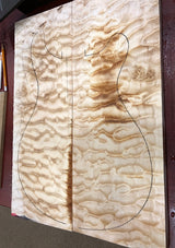 Paul Reed Smith Private Stock Paul's Guitar Sub-Zero Fade-Brian's Guitars