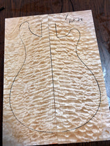 Paul Reed Smith Wood Library Custom 24 Fatback Brian's Limited-Brian's Guitars