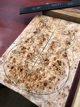 Paul Reed Smith Private Stock Custom 24 Frostbite Glow-Brian's Guitars