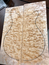 Paul Reed Smith Wood Library Artist 509 Brian's Limited-Brian's Guitars