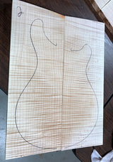 Paul Reed Smith Wood Library Special Semi-Hollow Brian's Limited-Brian's Guitars