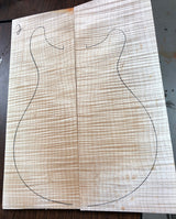 Paul Reed Smith Wood Library Special Semi-Hollow Brian's Limited-Brian's Guitars