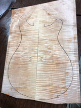 Paul Reed Smith Wood Library Special Semi-Hollow Brian's Limited-Brian's Guitars