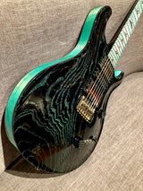 Paul Reed Smith Private Stock Custom 24 Swamp Eagle #2-Brian's Guitars
