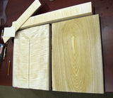 Paul Reed Smith Private Stock Vela Key Lime-Brian's Guitars