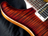 Paul Reed Smith Experience 2012 Limited Custom 24-Brian's Guitars