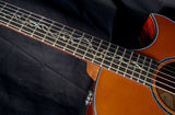 Used Taylor BTO Custom GA Cocobolo-Brian's Guitars