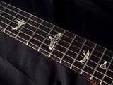 Used Paul Reed Smith Private Stock David Grissom DGT Limited-Brian's Guitars