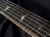 Paul Reed Smith Private Stock Custom 22 Brazilian-Brian's Guitars