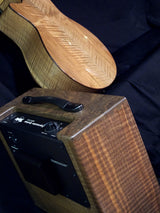 Taylor Builders Reserve BR VIII Walnut GS Guitar and Amplifier Combo-Brian's Guitars