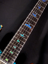 Paul Reed Smith Private Stock Custom 24 Laguna Dragon's Breath-Brian's Guitars