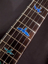 Paul Reed Smith Private Stock Custom 24 Laguna Dragon's Breath-Brian's Guitars