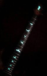 Paul Reed Smith Private Stock Special Semi-Hollow Burl Maple-Electric Guitars-Brian's Guitars