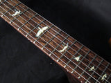 Paul Reed Smith Private Stock DC245 Zombie Fade #1-Brian's Guitars