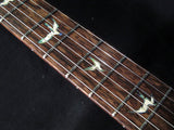 Paul Reed Smith Private Stock DC245 Zombie Fade #1-Brian's Guitars