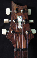 Paul Reed Smith Private Stock DC245 Zombie Fade #1-Brian's Guitars