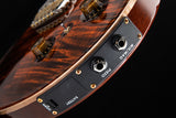 Paul Reed Smith Custom 22 Piezo Orange Tiger