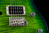 Paul Reed Smith CE 24 Semi-Hollow Eriza Verde Blueburst