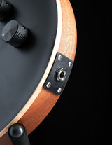 Paul Reed Smith DW CE 24 Floyd Dustie Waring Signature Black Top