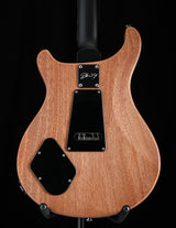 Paul Reed Smith DW CE 24 Floyd Dustie Waring Signature Black Top