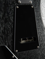 Used Paul Reed Smith DW CE 24 Floyd Dustie Waring Signature Black Top