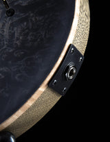 Paul Reed Smith Private Stock Custom 24 Satin Frostbite Glow