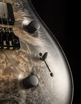 Paul Reed Smith Private Stock Custom 24 Satin Frostbite Glow