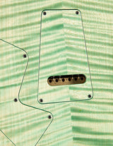Paul Reed Smith Private Stock Modern Eagle V Key Lime