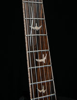 Paul Reed Smith Private Stock Modern Eagle V Electric Tiger Glow Smokeburst