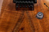 Paul Reed Smith Private Stock Studio Floyd Koa
