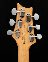 Paul Reed Smith SE Silver Sky Dragon Fruit