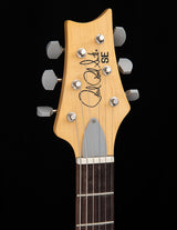 Paul Reed Smith SE Silver Sky Evergreen