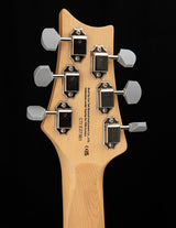 Paul Reed Smith SE Silver Sky Evergreen