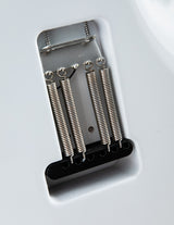 Paul Reed Smith John Mayer Signature Model Silver Sky Frost