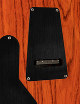 Paul Reed Smith Wood Library Custom 24 Floyd Autumn Sky Brian's Guitars Limited