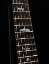 Paul Reed Smith Wood Library Custom 24 Floyd Autumn Sky Brian's Guitars Limited