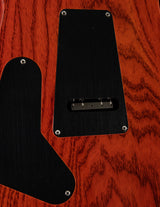 Paul Reed Smith Wood Library Custom 24 Floyd Autumn Sky Brian's Guitars Limited